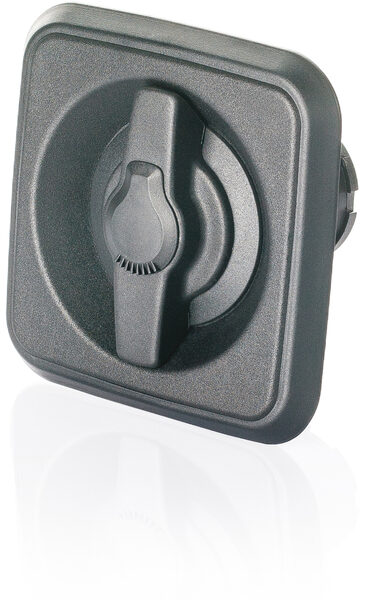 P203 Maniglia per porta passeggeri